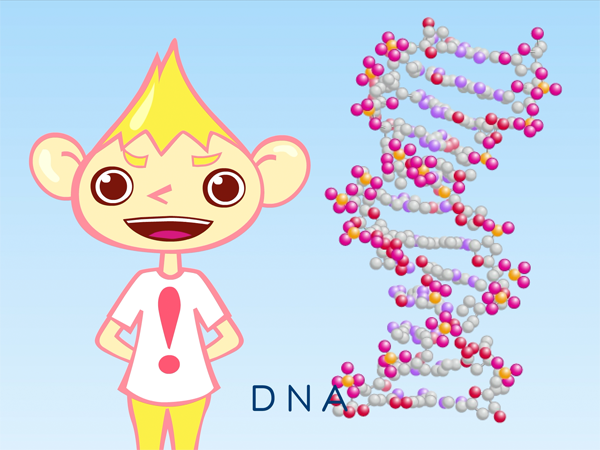 DNA：理科