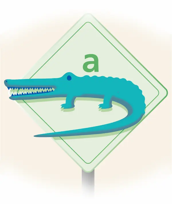 alligator