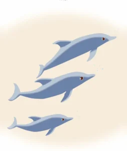 dolphins