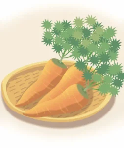 野菜の名前や特徴を学ぶ探究教育の教材。ざるに並んだ葉付きのニンジン